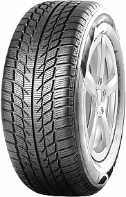 Goodride SW608 205/55 R16 91H