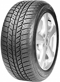 Evergreen EW62 205/65 R16 95H